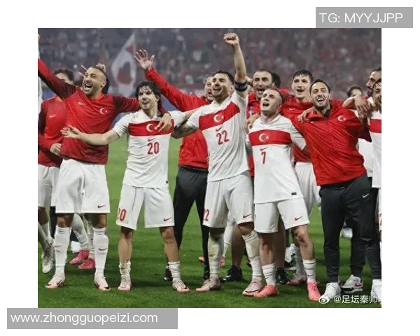 奥地利战胜土耳其展现黑马实力继续向前冲刺